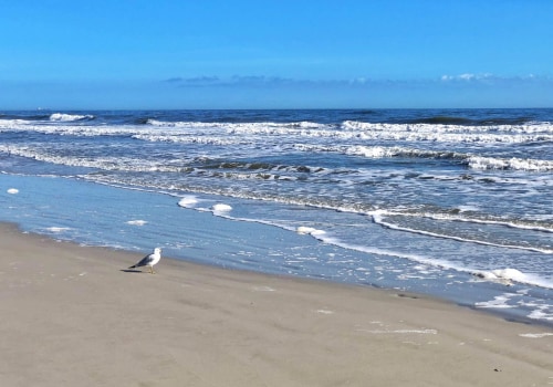Does jacksonville have pretty beaches?