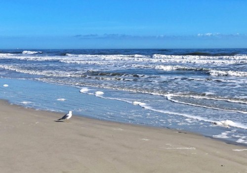 Does jacksonville florida have an ocean?